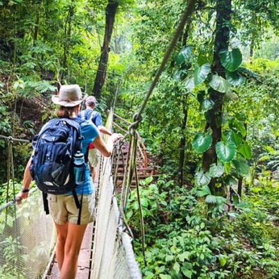 Cloud Forest Hike