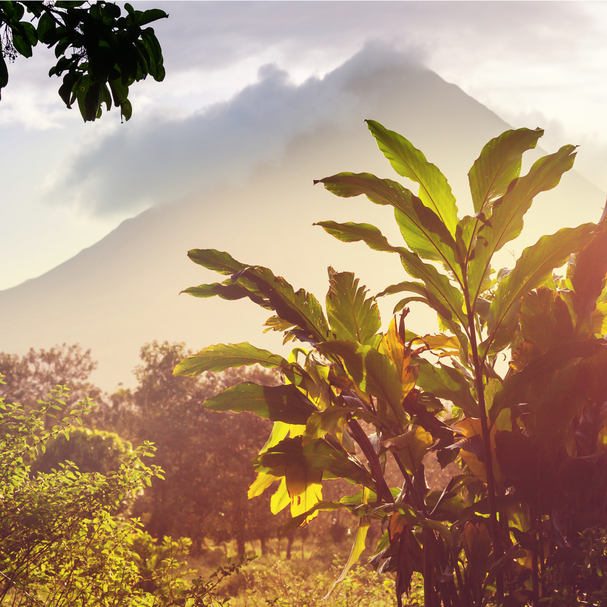 About Costa Rica Educational Programs