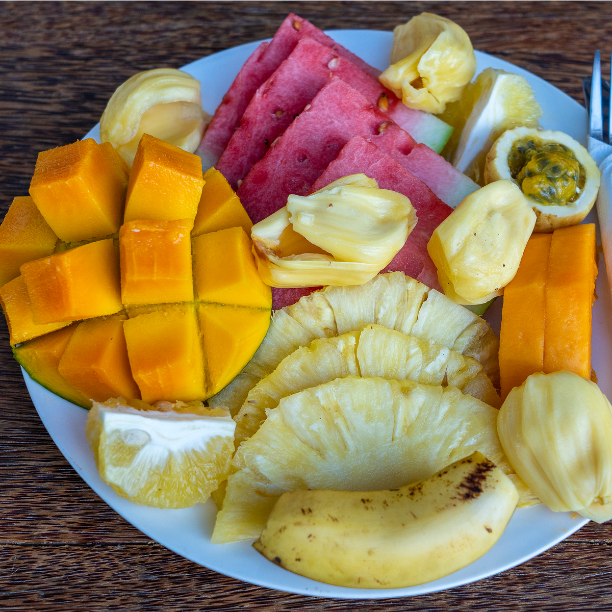 Costa Rica Educational Programs Accommodations