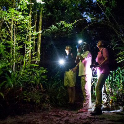 Night Hike
