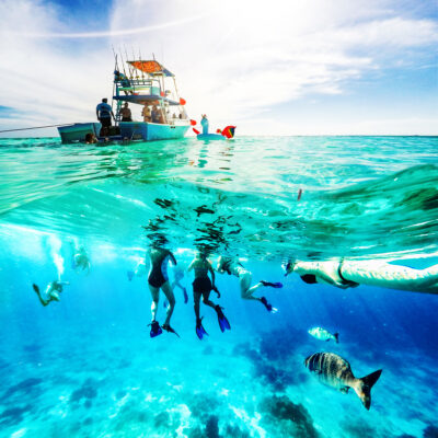 Snorkelling